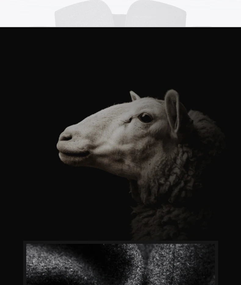 BROWON Brand Winter Coat Men Chinese Style Stand Collar Solid Coats for Men 2025 Autumn and Winter Business Casual Woolen Jacket